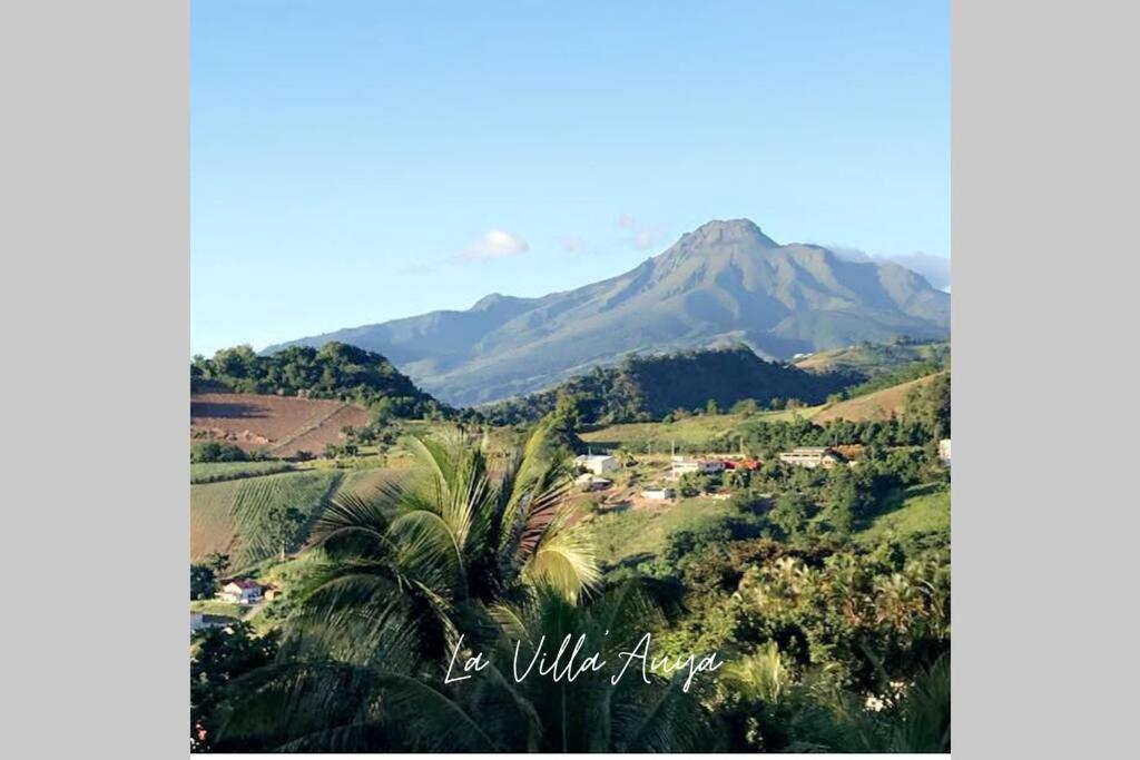 Villa Auya Entre Mer Et Montagne ลาการ์เบต์ ภายนอก รูปภาพ